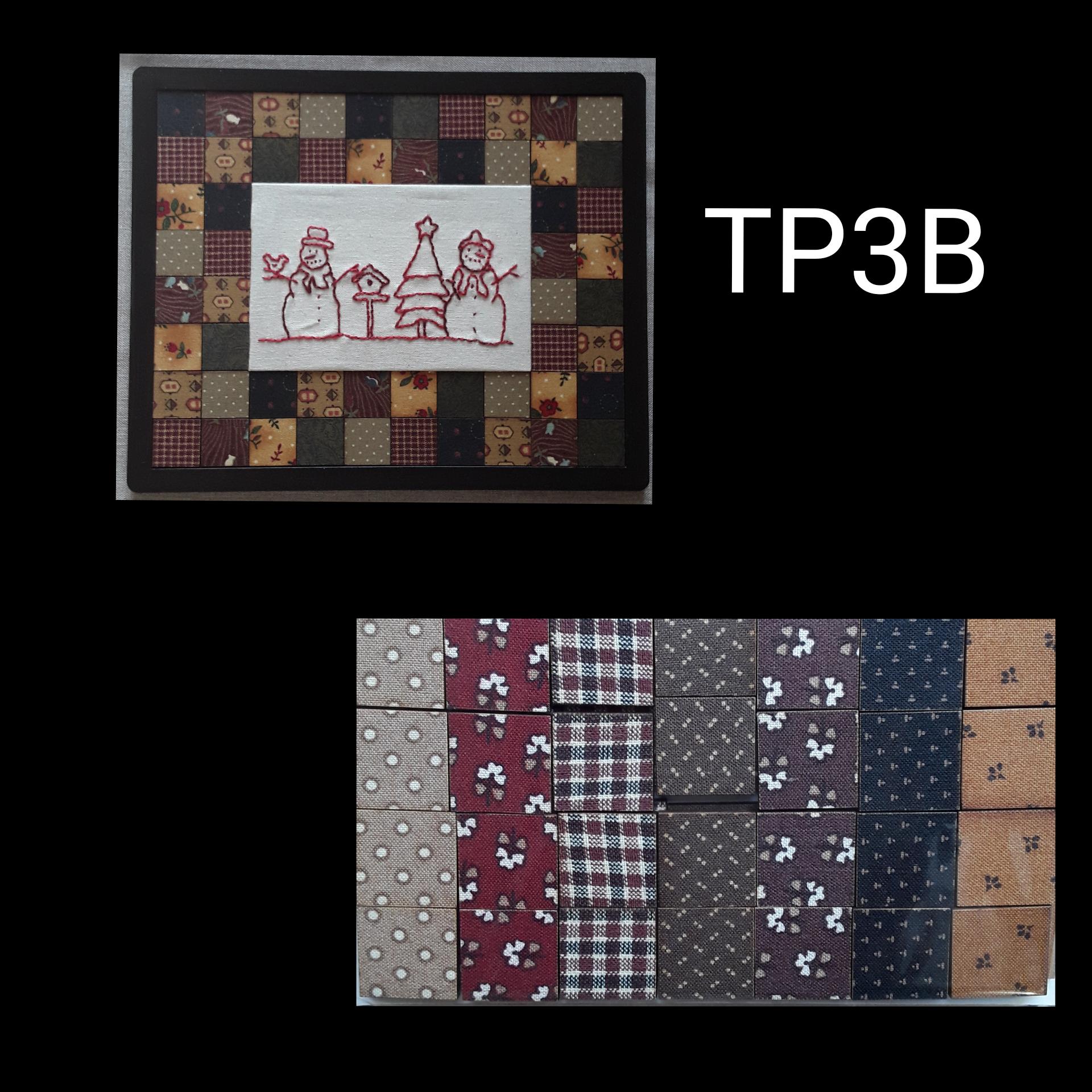 Tp3b